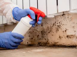 Best Mold Removal for HVAC Installations  in South Roxana, IL